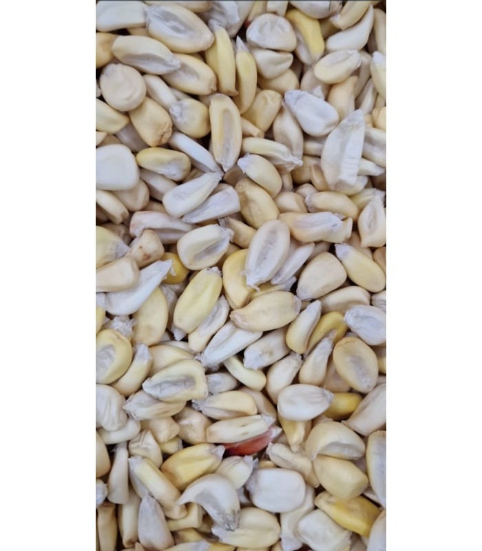 CANCHA PARA TOSTAR 500GR