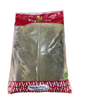 HOJA DE BIJAO