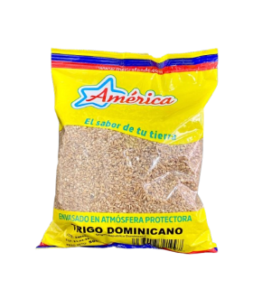 TRIGO DOMINICANO - AMERICA