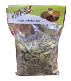 HOJAS DE BOLDO