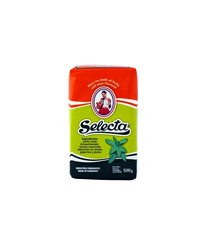 YERBA MATE SABOR MENTA